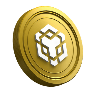 Moneda correspondiente a la criptomoneda Binance BNB en la página de guía para nuevos traders